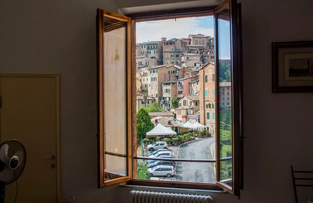 Salicotto 56-1